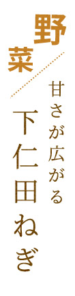 野菜甘さが広がる下仁田ねぎ