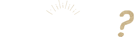 今日はどう楽しむ？