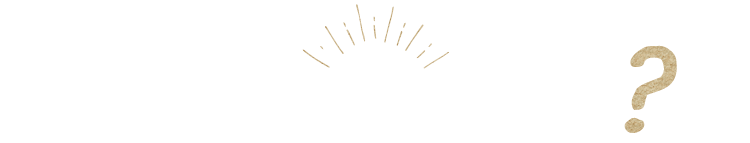 今日はどう楽しむ？